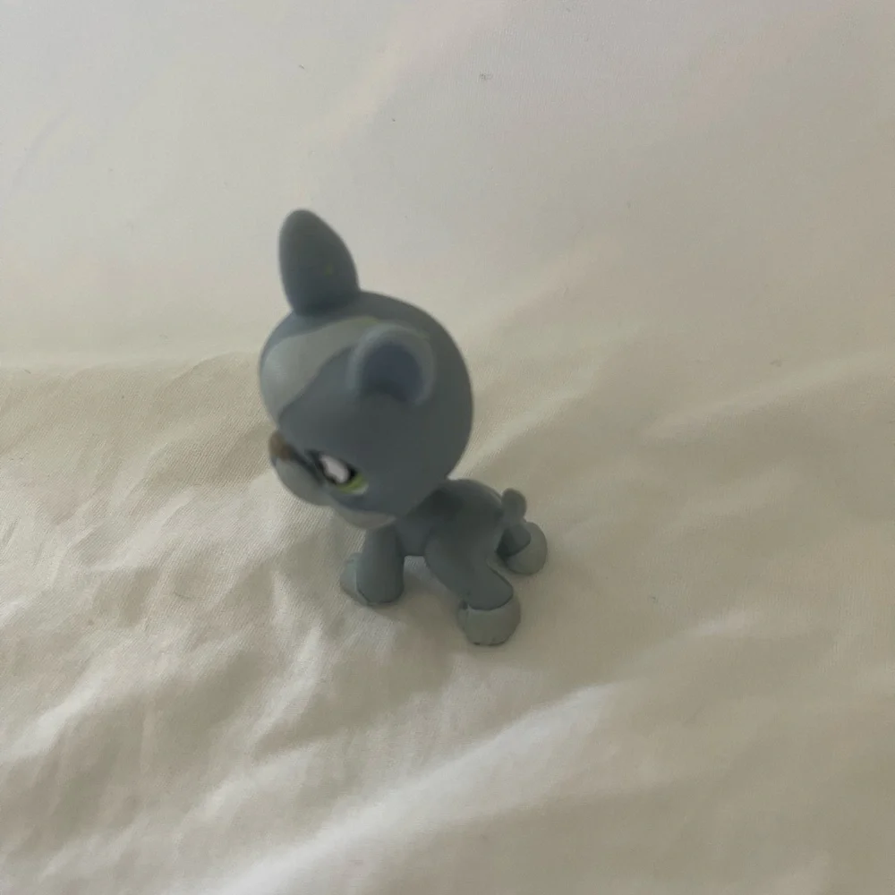 Littlest Pet Shop LPS Blue dog, Boston Terrier, bat eyes #857